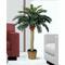4ft. Sago Silk Palm Tree in Wicker Basket Pot